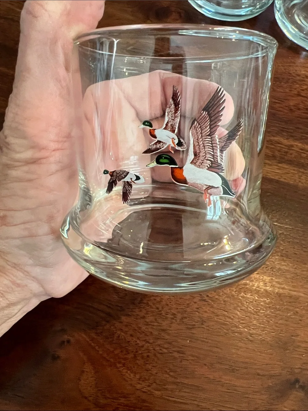 Set of 6 Clear Duck-Illustrated Shot Glasses - Clear with Brown/Green Accents